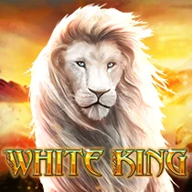 RTP Play8 White King